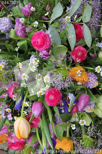Image of Spring flowers in bright colors