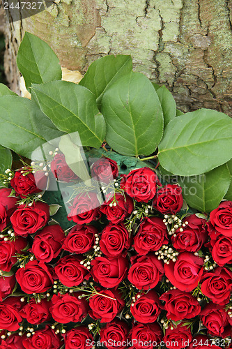 Image of Red roses and small white berries