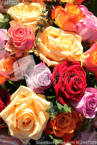 Image of Colorful rose bouquet