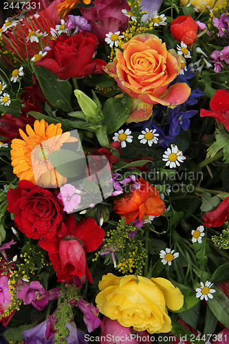 Image of Flower arrangement in bright colors