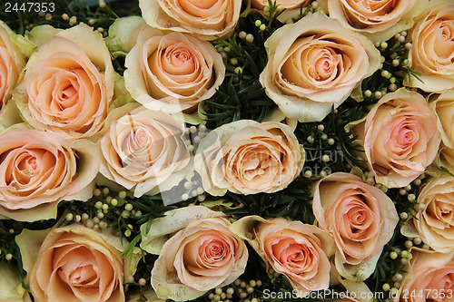 Image of pale pink wedding roses