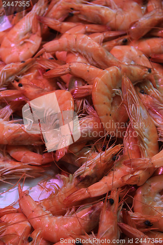 Image of Prawns