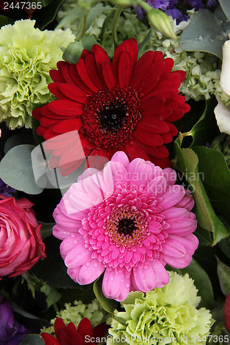 Image of red and pink gerbera