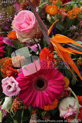 Image of Floral arrangement in pink, red and orange