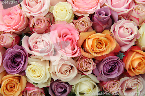 Image of Mixed pastel roses