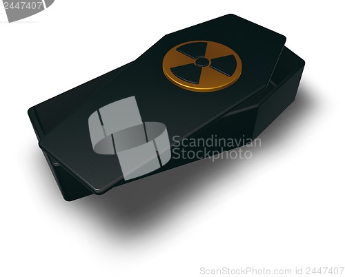 Image of nuclear coffin