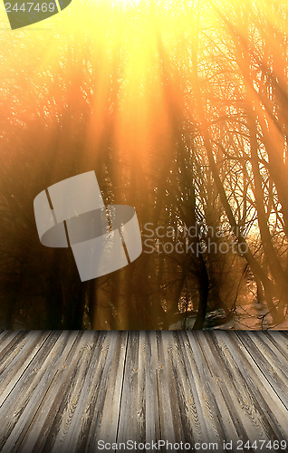 Image of beautiful sunrise over the winter forest