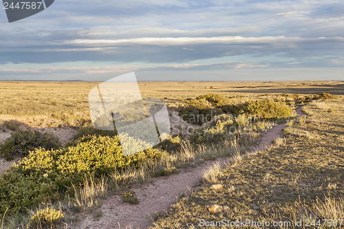 Image of trail over prairie