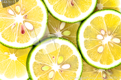 Image of Citrus Background
