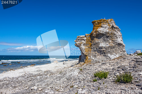 Image of Cliff on the Baltic Sea coastline in Sweden