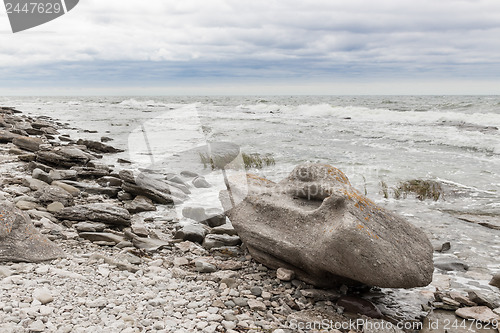 Image of Rocky coastline of Gotland, Sweden