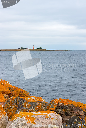 Image of Orange stones on the coastline of Gotland, Sweden