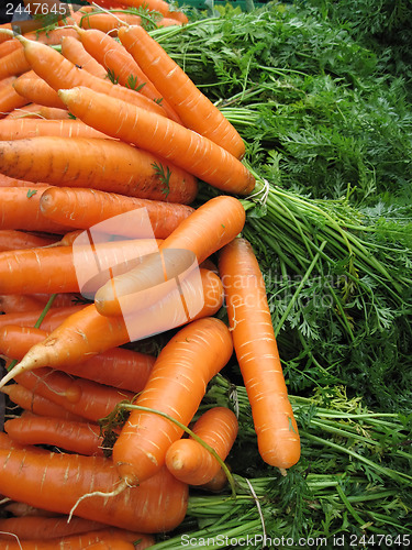 Image of raw carrots background
