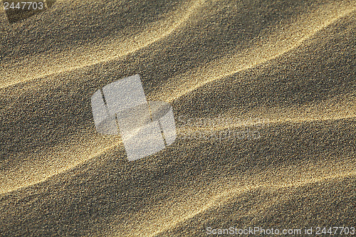 Image of Rippled sand