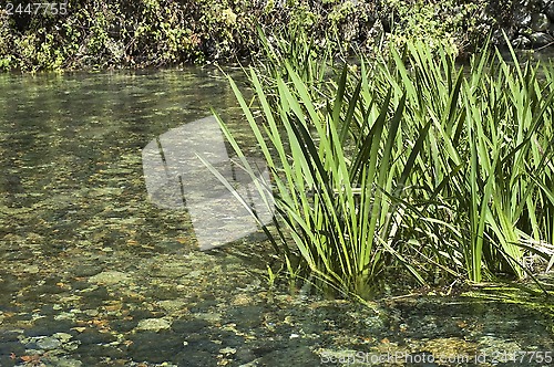 Image of River. crystal water