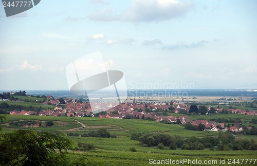 Image of Alsace landscape and vinewyard