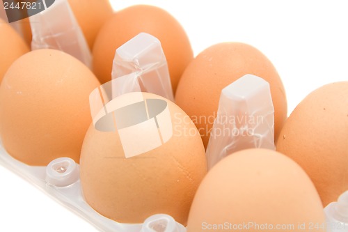 Image of eggs isolated