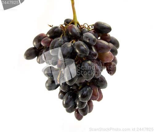 Image of grapes