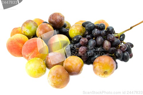 Image of fruit isolated