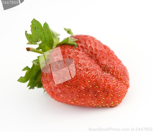 Image of strawberry