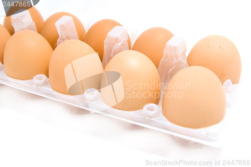 Image of eggs isolated