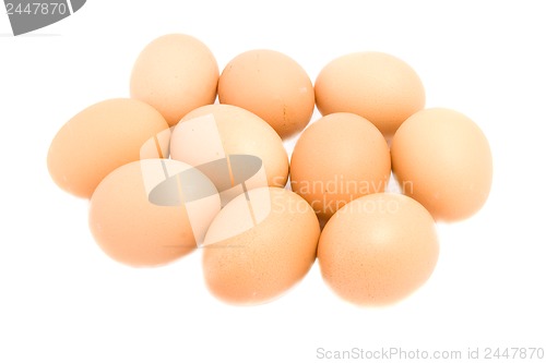 Image of eggs isolated