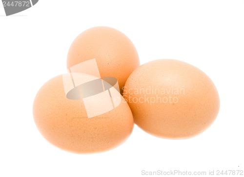 Image of eggs isolated