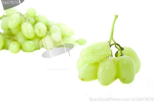 Image of grapes