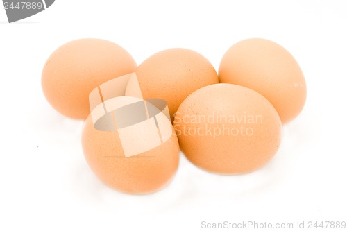 Image of eggs isolated