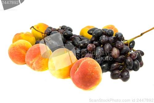 Image of fruit isolated