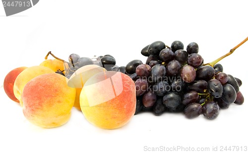 Image of fruit isolated