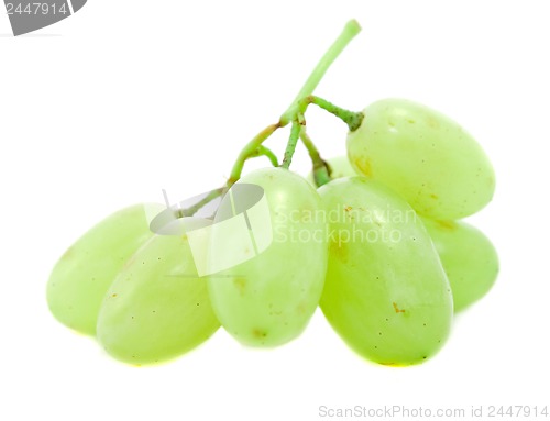 Image of grapes