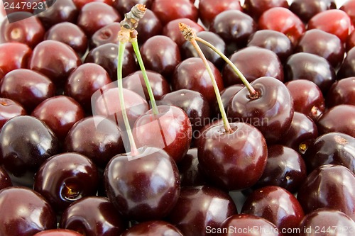 Image of cherries