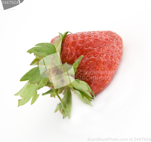 Image of strawberry