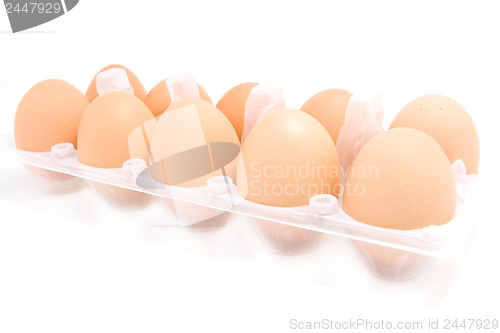 Image of eggs isolated