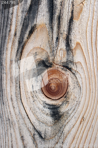 Image of Beautiful knotty wood texture