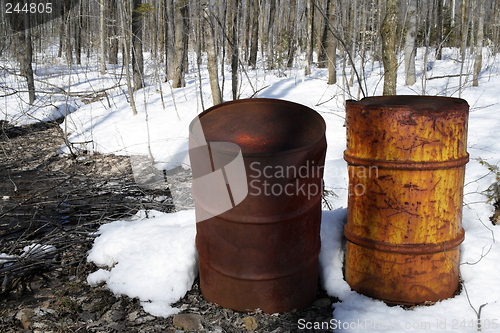 Image of Rusty barrels in the forest