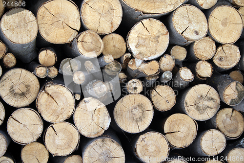 Image of Pile of firewood