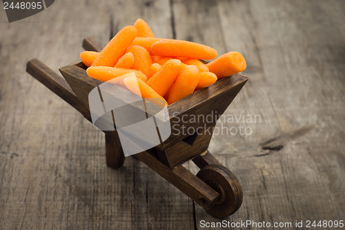 Image of Fresh Carrots in a miniature wheelbarrow 