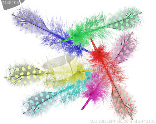 Image of Guinea fowl feathers are painted in bright colors. collage
