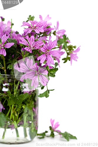 Image of wild violet flowers in glass jar