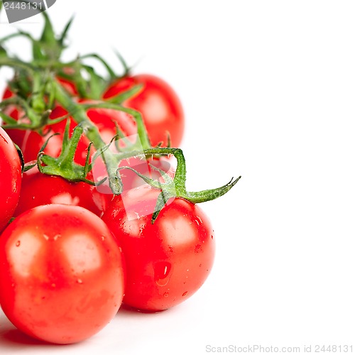 Image of fresh organic cherry tomatoes 