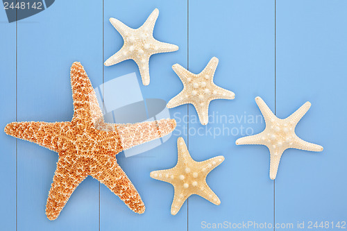 Image of Sea Stars
