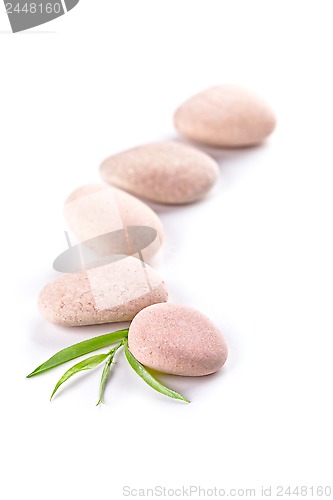 Image of green leaf and stones