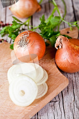 Image of fresh onions and parsley 