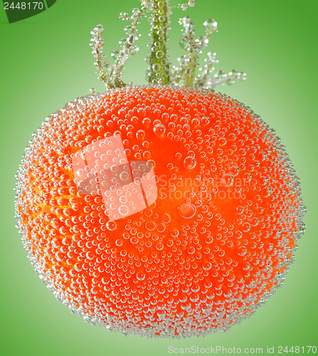 Image of A fresh organic tomato