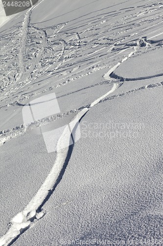 Image of Trace of ski and snowboards in newly-fallen snow