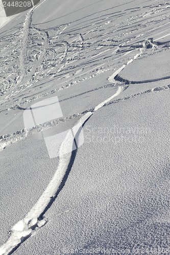 Image of Trace of ski and snowboards in newly-fallen snow