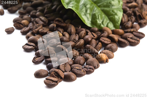 Image of coffee grains and leaves