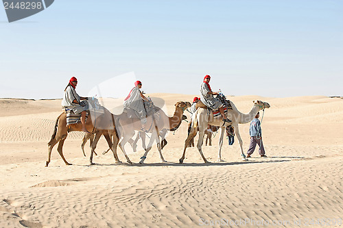 Image of Berber leading tourists on camels